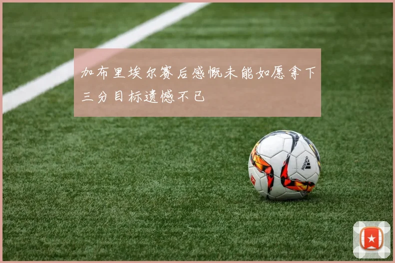 加布里埃尔赛后感慨未能如愿拿下三分目标遗憾不已