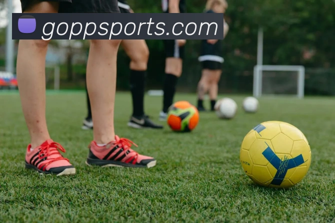 pp体育APP 封面图